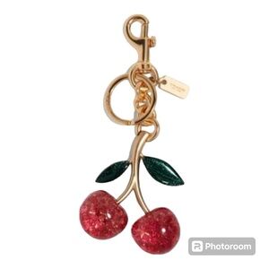 Coach Cherry Bag Charm